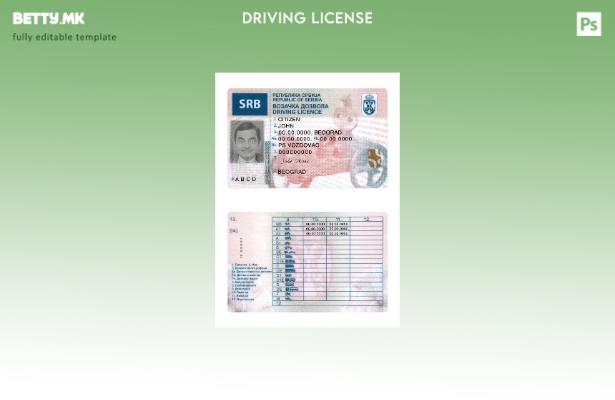 Шаблон за возачка дозвола Србија во модерен стил